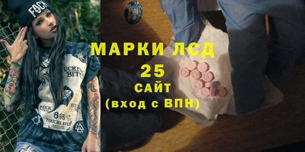 ECSTASY Алзамай