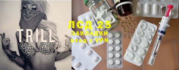 ECSTASY Алзамай