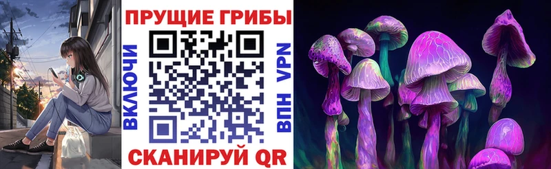 Галлюциногенные грибы Magic Shrooms  где купить наркотик  Заволжск 